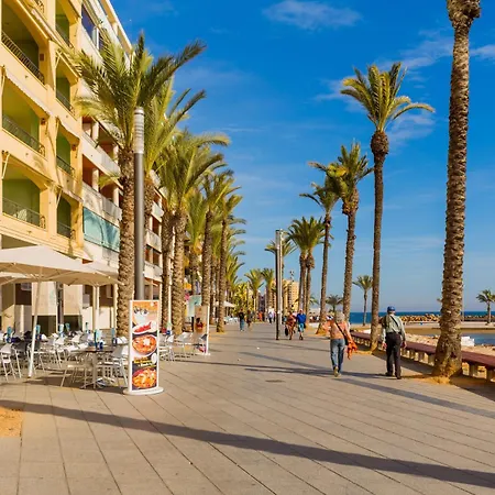 Alegria Id94 Lägenhet Torrevieja