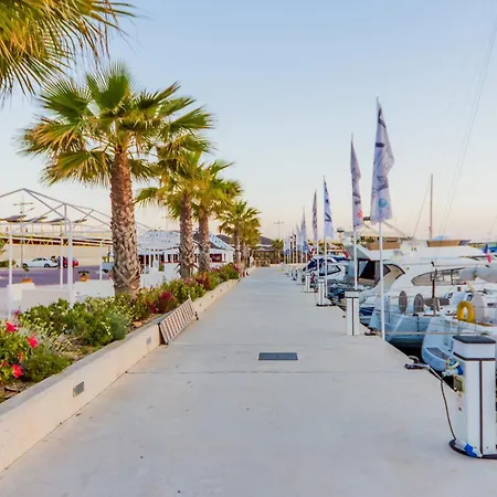 Alegria Id94 تورّيفيِخا