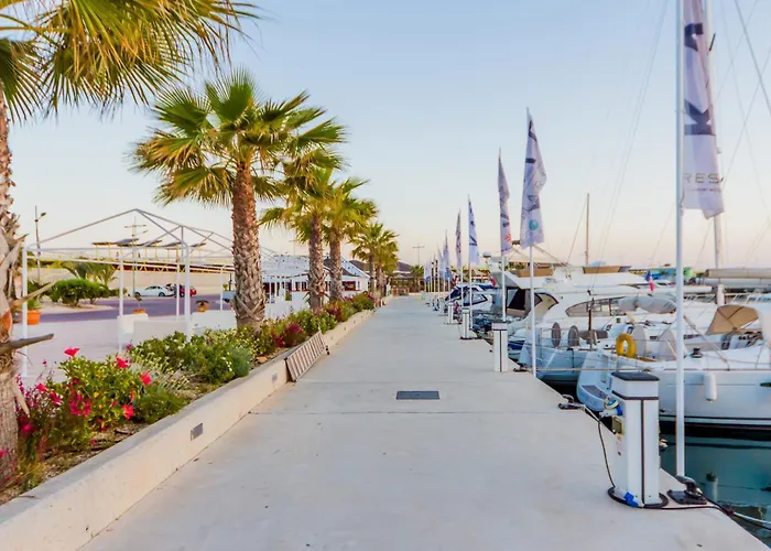 Alegria Id94 تورّيفيِخا