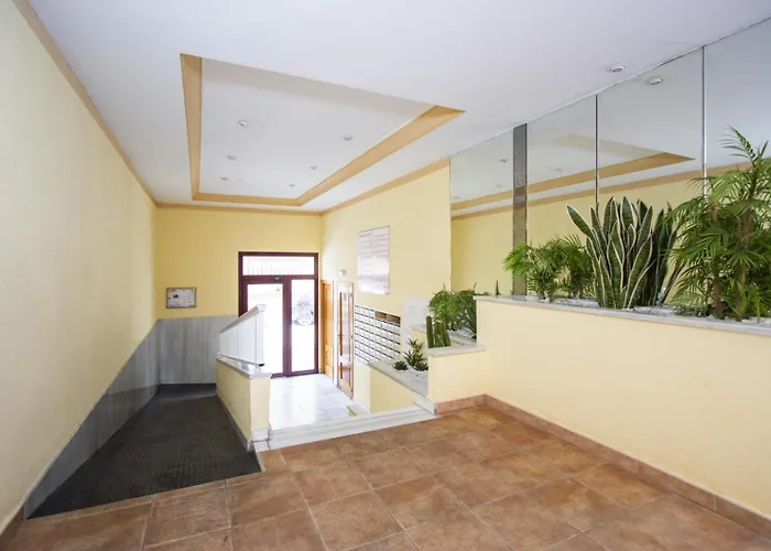 Alegria Id94 * تورّيفيِخا