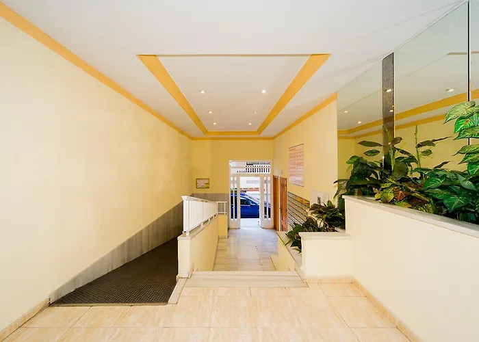 Alegria Id94 * تورّيفيِخا