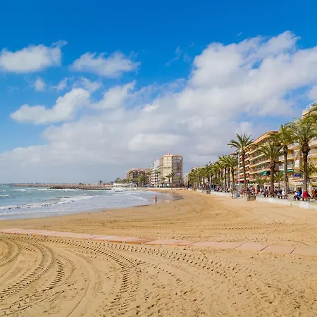 Alegria Id94 Torrevieja