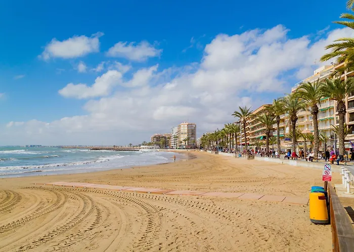 Alegria Id94 Torrevieja